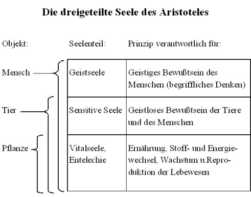 dreigeteilte Seele (Aristoteles) (2)
