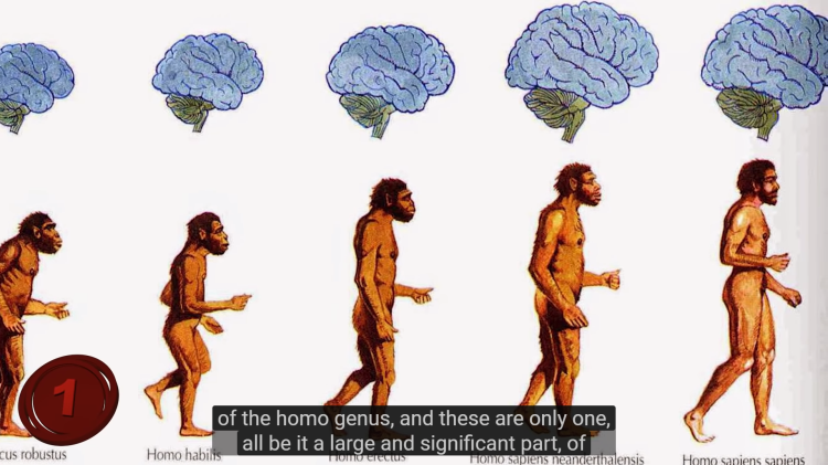 homo-habilis- erectus-sapiens