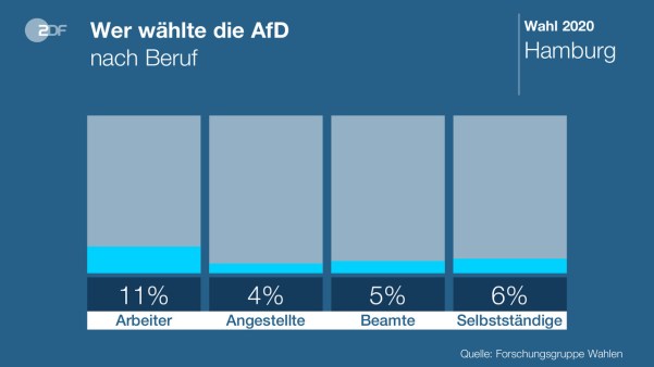 AfD Beruf