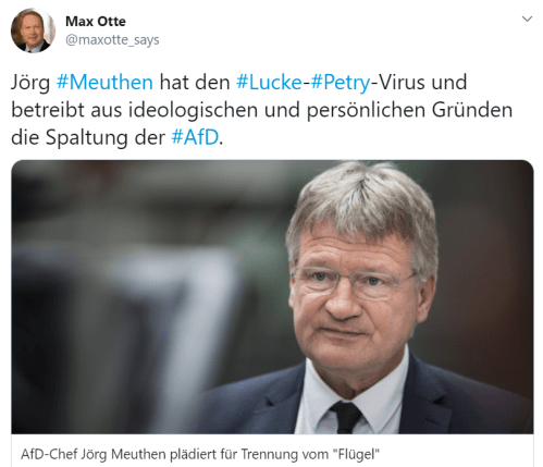 Meuthen Lucke-Petry-Virus