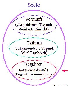 Platons Seelenmodell (2)