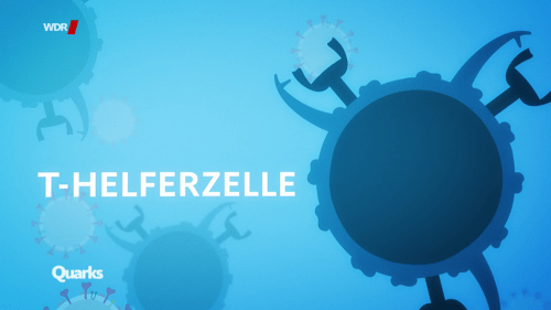 T-Helferzelle