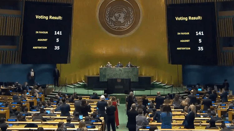 UN Voting Result